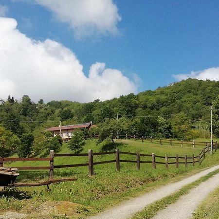 La Casa In Collina Bed & Breakfast Cinzano Exterior photo